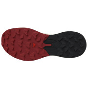 Herrenschuhe Salomon Pulsar