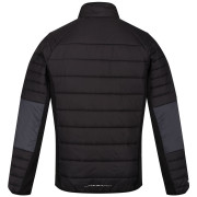 Herren-Winterjacke Regatta Halton VI