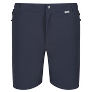 Herrenshorts Regatta Mountain ShortsII dunkelgrau IndiaGry/Blk