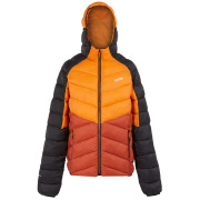 Herrenjacke Regatta Hooded Dalent rot/orange Fox/RedOchre