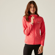 Damen-Sweatshirt Regatta Women's Huntdale