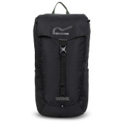 Rucksack Regatta Survivor V 20L grau Ash