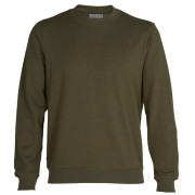 Herren-Sweatshirt Icebreaker Central Ls Sweatshirt dunkelgrün Booster
