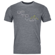 Herren-T-Shirt Ortovox 185 Merino Tangram Logo Ts M grau grey blend