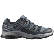 Damen Trekkingschuhe Salomon Extegra Gore-Tex grau Turbulence / Black / Grisaille