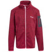 Kinder-Sweatshirt Regatta Junior Newhill rosa Pink Potion