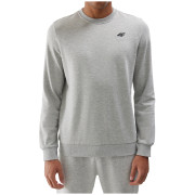 Herren-Sweatshirt 4F Sweatshirt M1181 hellgrau Cold Light Grey Melange