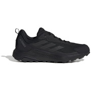 Wanderschuhe Adidas Terrex Anylander schwarz Black