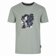 Kinder-T-Shirt Dare 2b Trailblazer II Tee grau Lily Pad