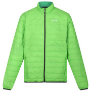 Herrenjacke Regatta Hillpack grün Jasmine Green (Field Green)