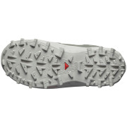 Damenschuhe Salomon Crosstrak Waterproof