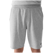 Herrenshorts 4F Shorts Cas M284 hellgrau Cold Light Grey Melange