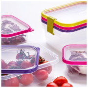 Lebensmittelbox Omada Sanaliving Box Set 3x 19x14x6,5cm/1L