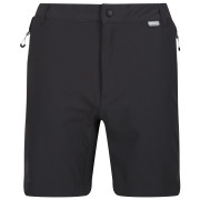 Herrenshorts Regatta Mountain ShortsII M grau/schwarz Ash/Black