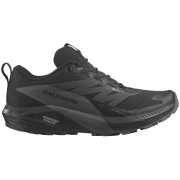 Damen Laufschuhe Salomon Sense Ride 5 Gore-Tex