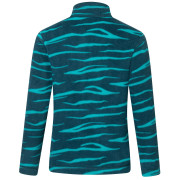 Kinder-Sweatshirt Regatta Hot Shot II MeditZebra