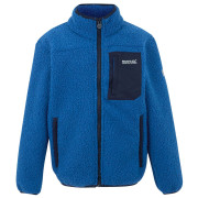 Kinder-Sweatshirt Regatta Junior Frankie Warm Fleece blau Snorkel Blue