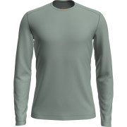 Herren-T-Shirt Icebreaker Mens 200 Oasis LS Crewe grün Moss