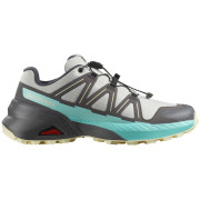 Damenschuhe Salomon Speedcross Peak grau/blau Icicle / Castlerock / Aruba Blue