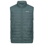 Herrenweste Regatta Hillpack B/W grün Sea Pine