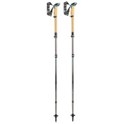 Trekkingstöcke Leki Cressida FX Carbon braun/silber brownmetallic-mint-chocolate brown metallic