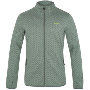 Herren-Sweatshirt Husky Astel M 2022 grün green
