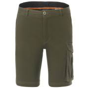Herrenshorts Regatta Bendrick Shorts grün Dark Khaki