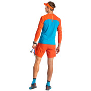 Herren-T-Shirt Dynafit Alpine Pro M L/S Tee