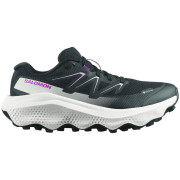 Damen Laufschuhe Salomon Ultra Flow 2 Gore-Tex