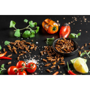 Essbare Grillen Sens Knusprig geröstete Grillen Tomaten & Oregano