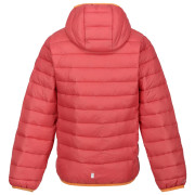 Kinder Winterjacke Regatta Jnr Hooded Marizion