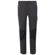 Herrenhose Regatta Questra V grau/schwarz Ash/Black
