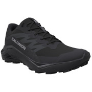 Damenschuhe Salomon Alphaglide Gore-Tex