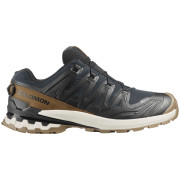 Herrenschuhe Salomon Xa Pro 3D V9 Gore-Tex Lifelong schwarz/braun Black / Coyote Brown / Vanilla Ice