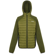 Herrenjacke Regatta Newhill Hybrid grün/schwarz NphteGrn/Blk