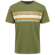 Herren-T-Shirt Regatta Rayonner grün Olive Branch