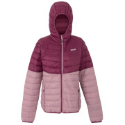Damenjacke Regatta W Hooded Hillpack IV