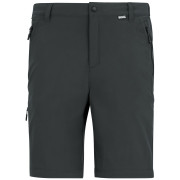 Herrenhose Regatta Anti-Insect Travel Light Z/O Trousers