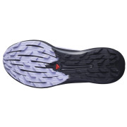 Herren Laufschuhe Salomon Pulsar Trail/Pro