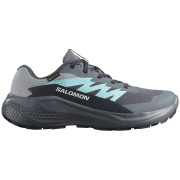 Damenschuhe Salomon Alphaglide Gore-Tex grau/blau Turbulence / Aruba Blue / Dark Navy