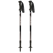 Trekkingstöcke Fizan Trek grau/schwarz Grey