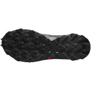 Herren Laufschuhe Salomon Supercross 4