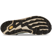 Wanderschuhe Altra Timp 5 Hiker Gtx