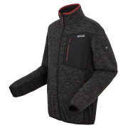 Herren Funktions-Sweatshirt Regatta Baslinn