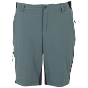 Herrenshorts Regatta Eldes Shorts blau/grau StrmyWth/Ash