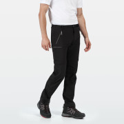 Herrenhose Regatta Xert Str Z/O III