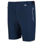 Herrenshorts Regatta Mountain ShortsII