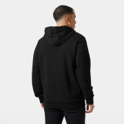 Herren-Sweatshirt Helly Hansen HH Box Hoodie 2025