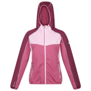 Damen-Sweatshirt Regatta Womens Attare rosa Violet/AmaHz
