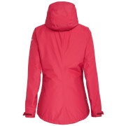 Damenjacke Salewa Puez PTX 2L W JKT